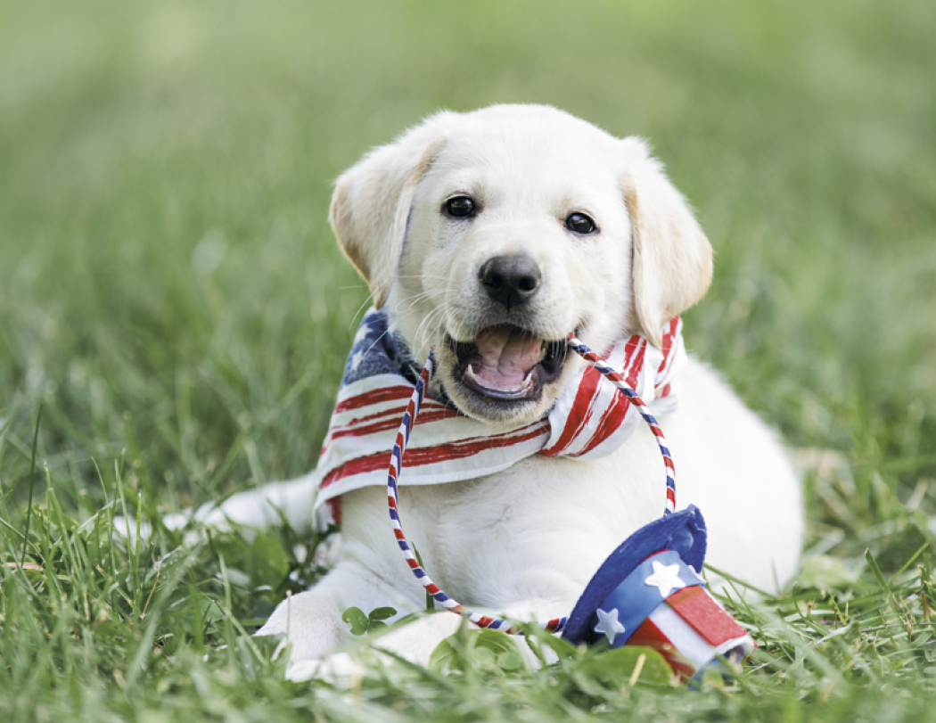 Good Value™ Celebrate America - Spiral Calendar 18