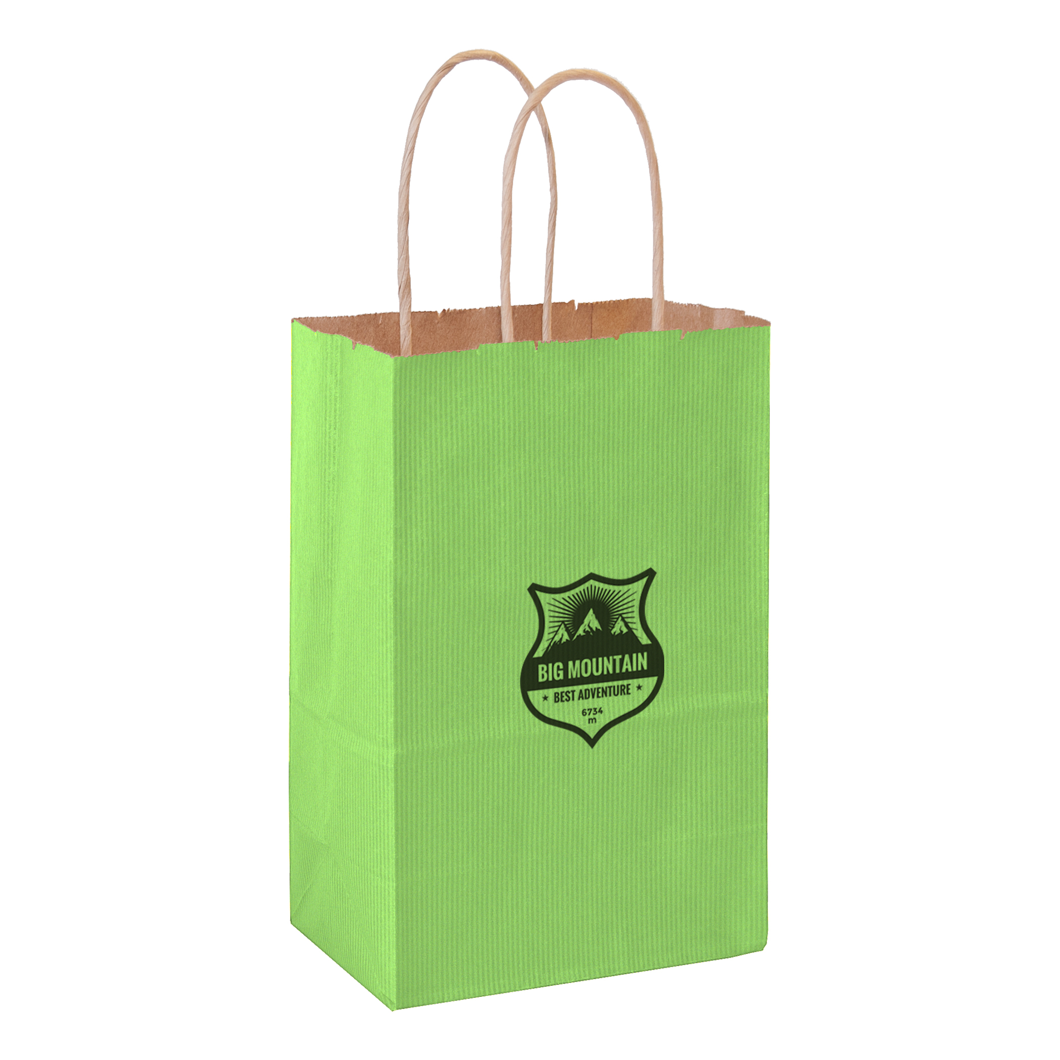 Matte Color Paper Shopper with Twisted Paper Handles