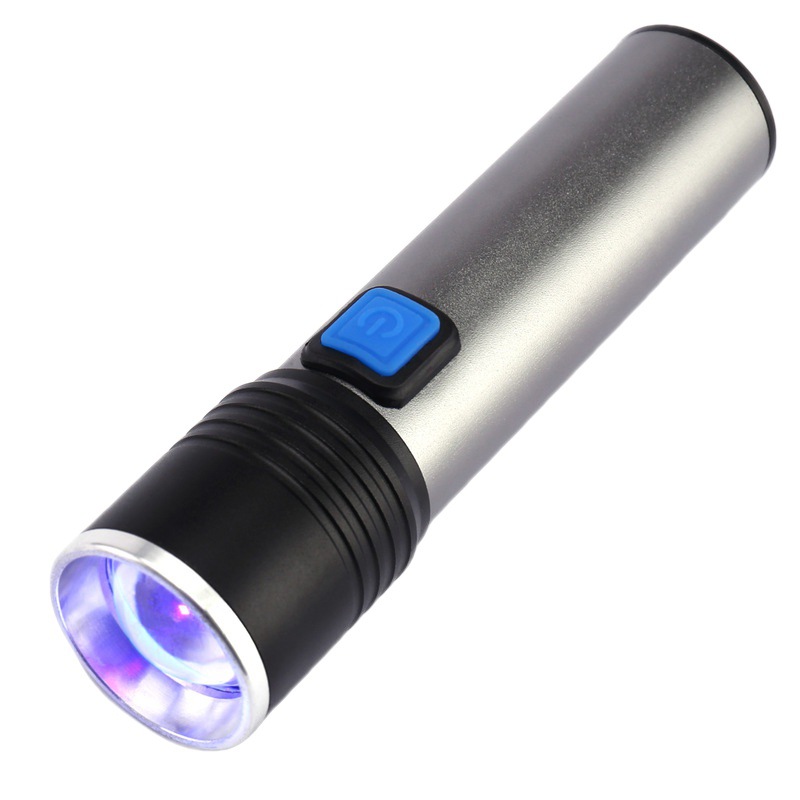 LED Portable Detection flashlight 1
