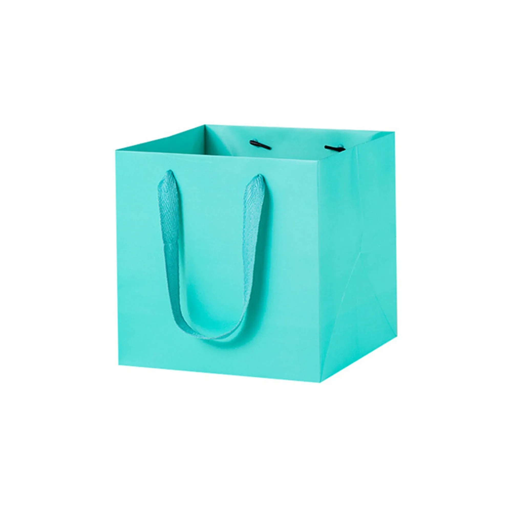 Vibrant Square Paper Gift Bags for Presents With Handles 10