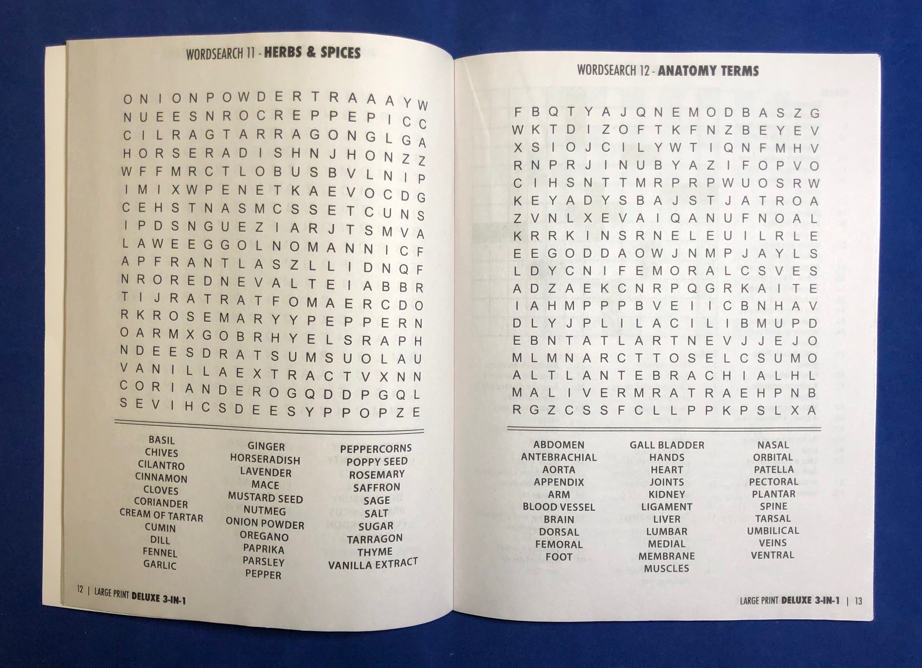 PUZZLE BOOK - Deluxe Large Print 3-in-1 Puzzle Book 4