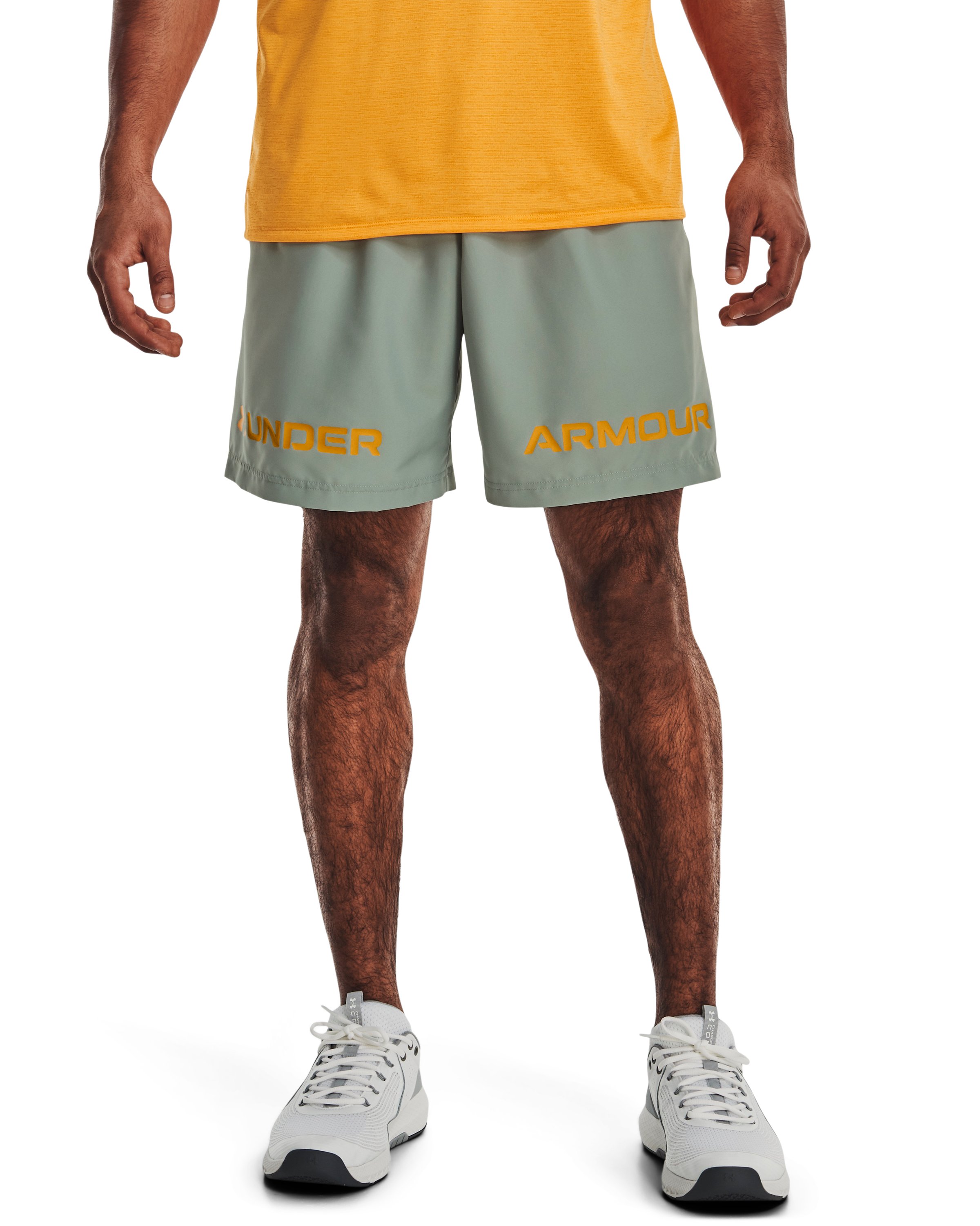 UA Woven Graphic Wordmark Men's 8 Shorts 8