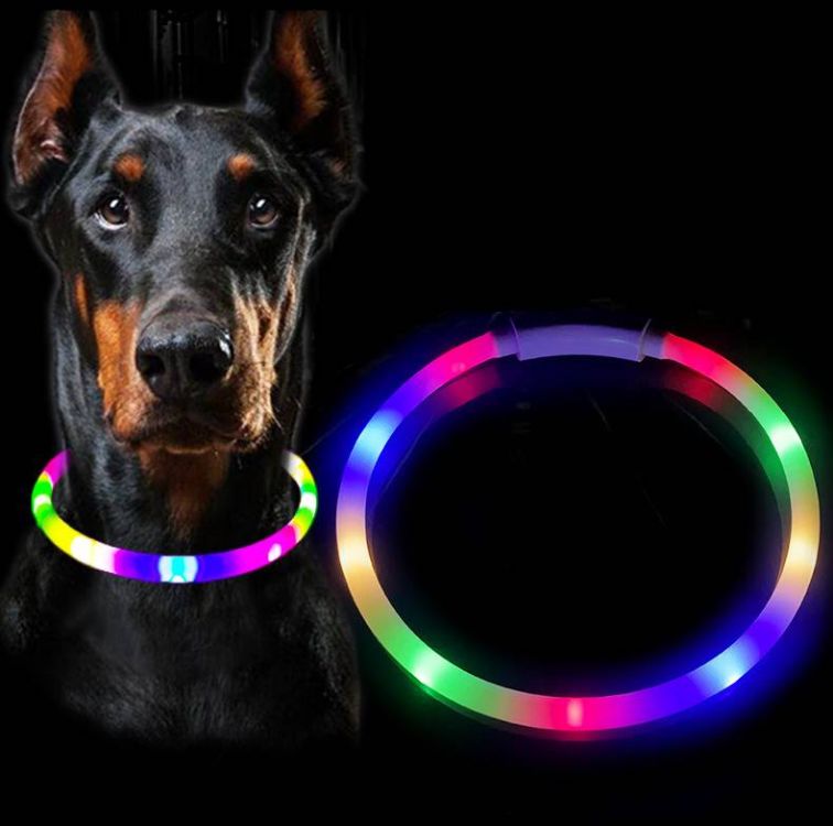 Light Up Dog Collar 2