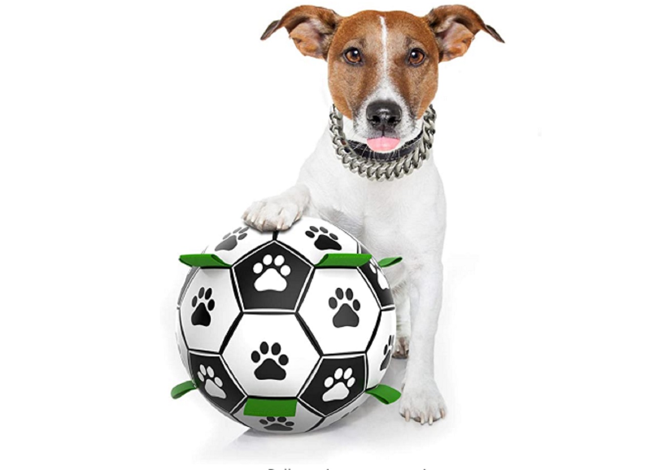 Interactive Dog Toys 1