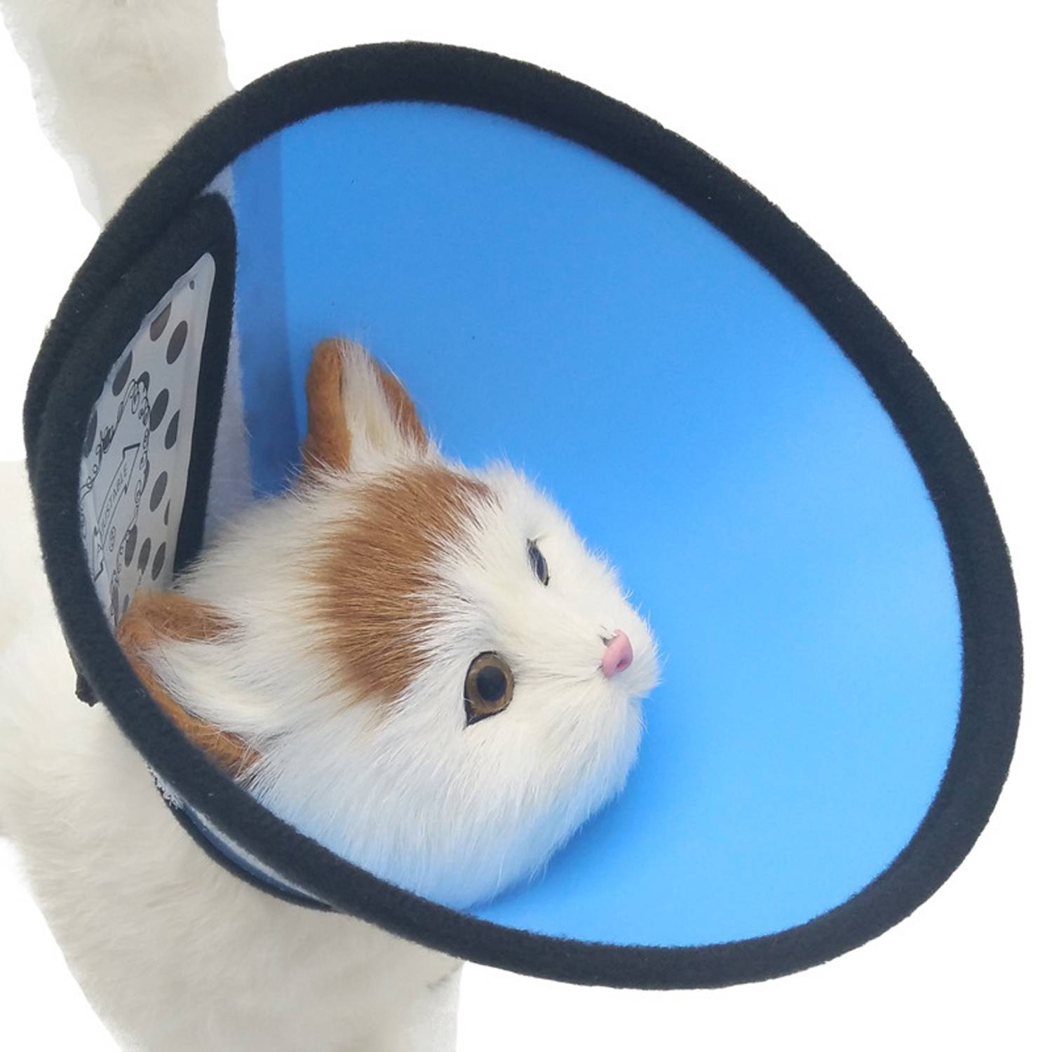 Adjustable Anti Bite Pet Recovery Collar 4