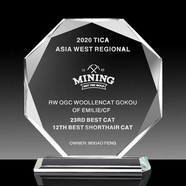 Faceted Octagon Crystal Award 4