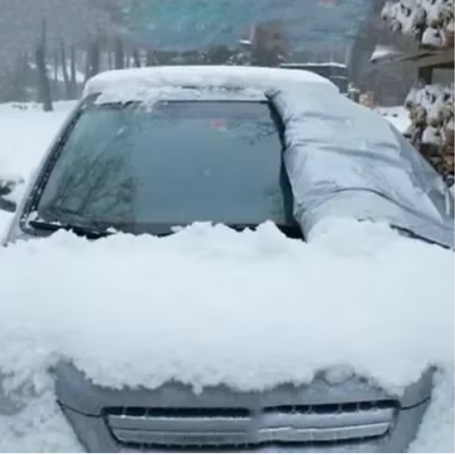 Windshield Cover 1