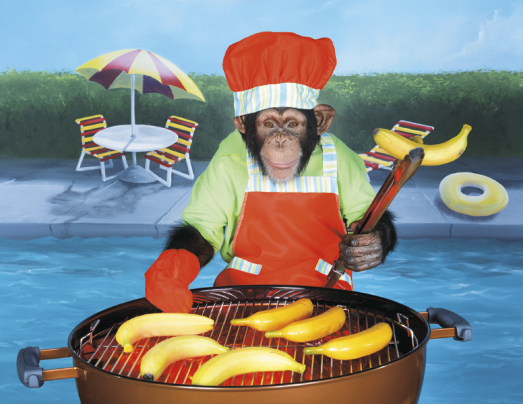 Good Value™ Monkey Mischief - Stapled Calendar 16