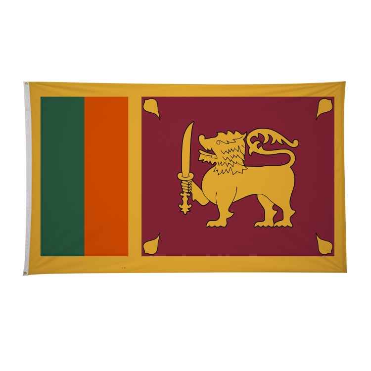6' x 10' International Flags 173