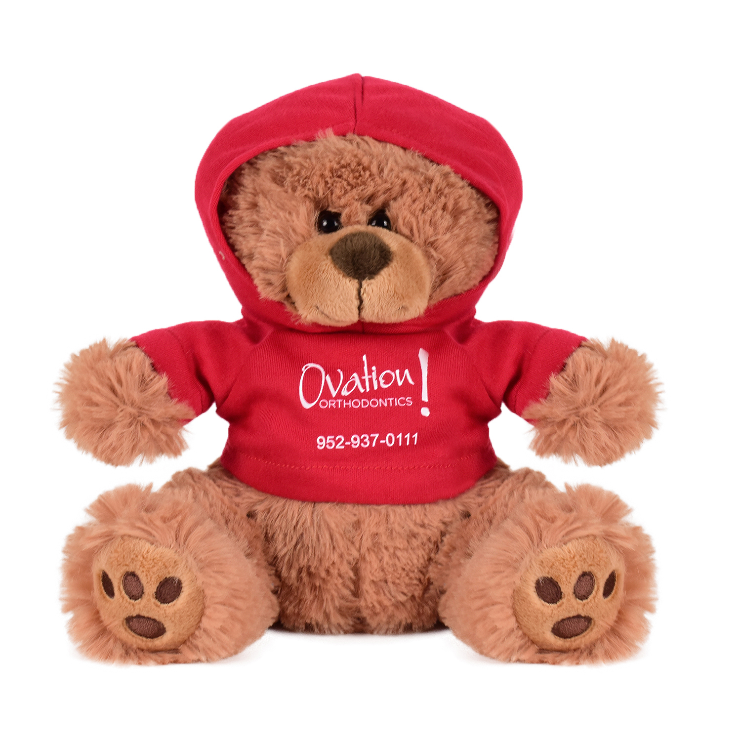 Plush Bear w/ Embroidered Paws and Hoodie 4