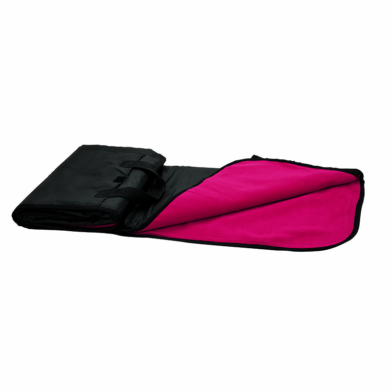 Fairview Picnic Blanket 27