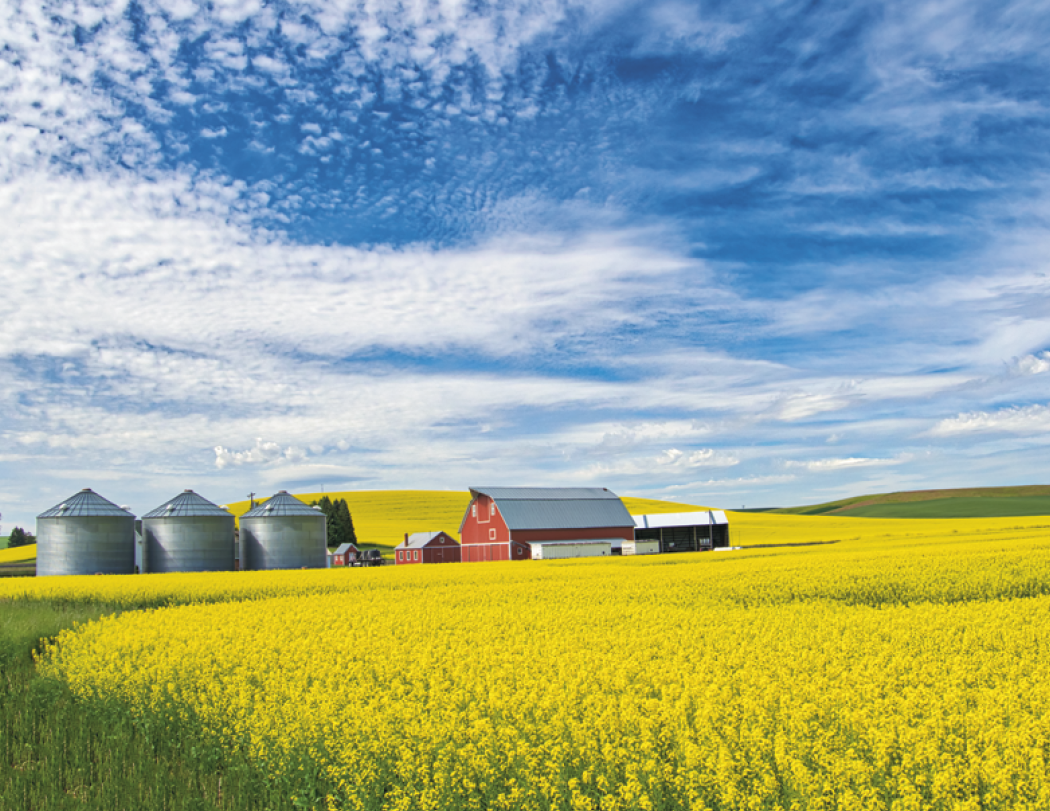 Good Value™ Agriculture - Stapled Calendar 16