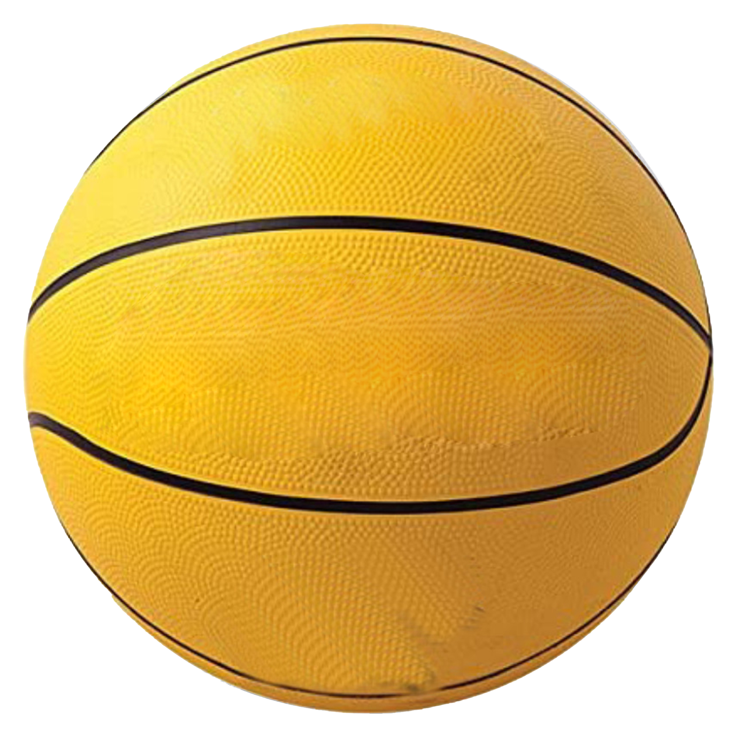 Rubber Students Train Basketball 4