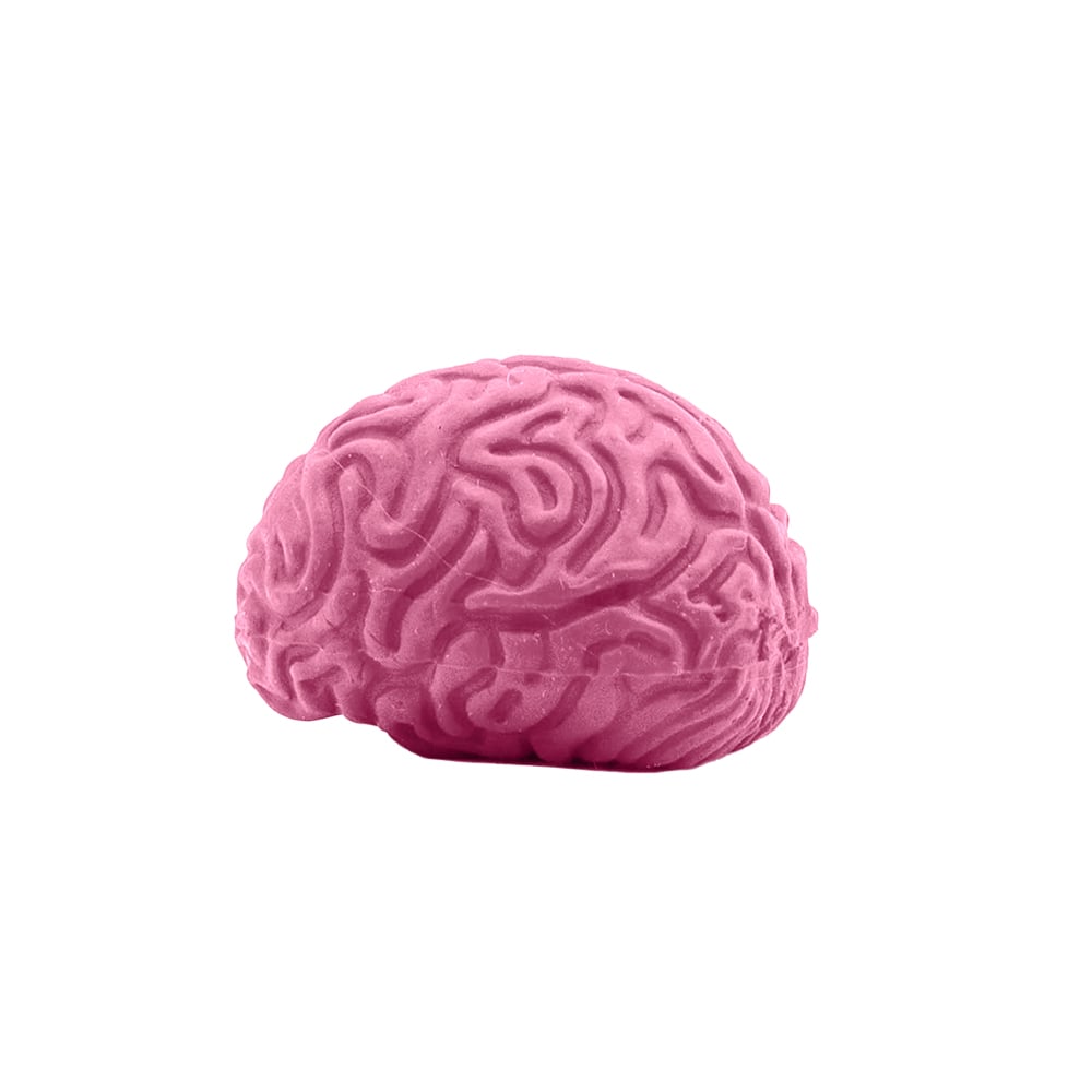 Pencil-Top Eraser Brain 11