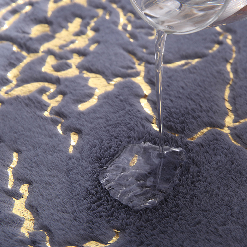 Gilding nonslip plush carpet absorbent floor mat 2