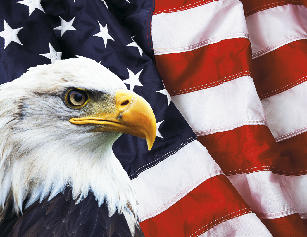 Good Value™ Celebrate America - Spiral Calendar