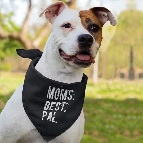 Pet Bandana Scarf 13