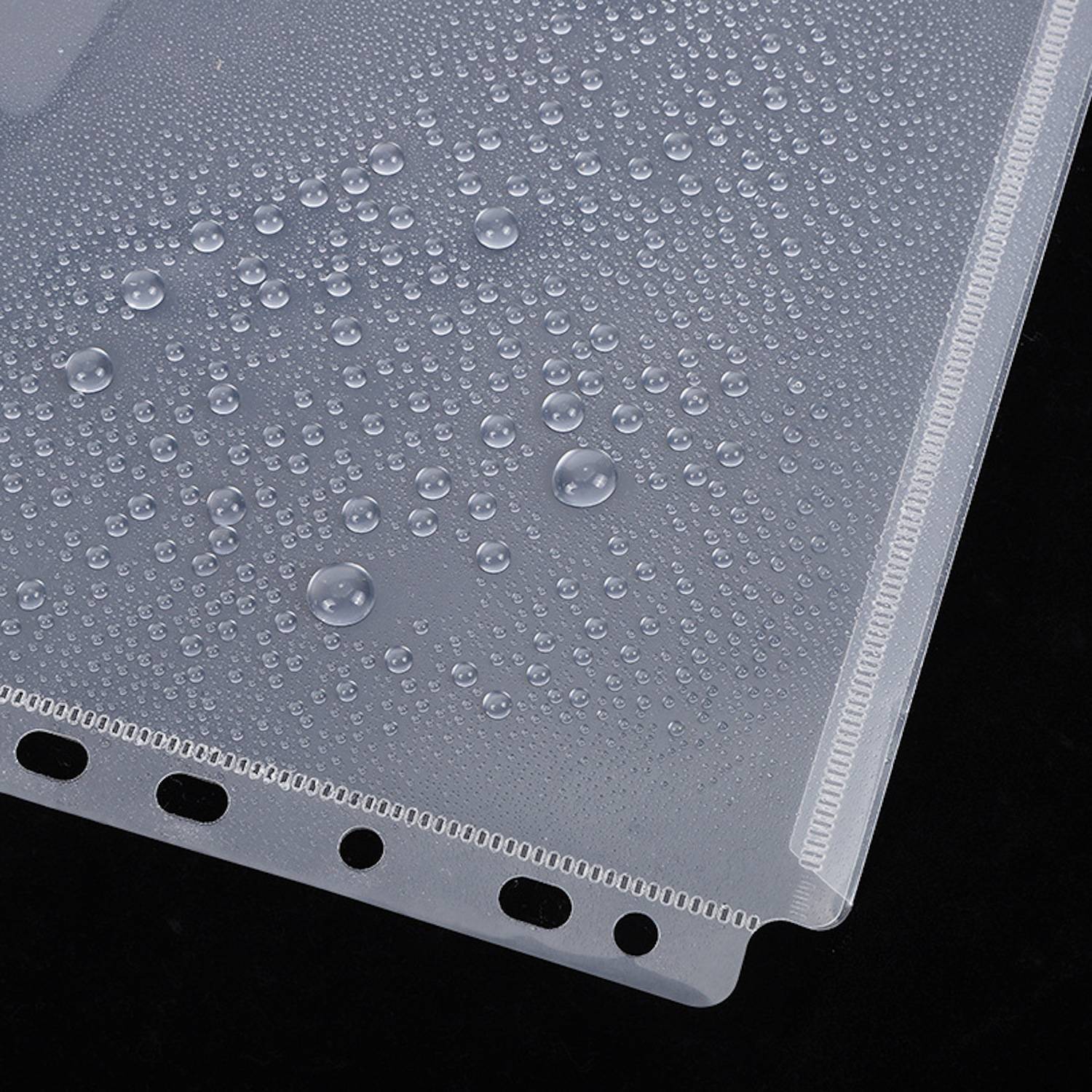 11 Holes Clear File Folder 9