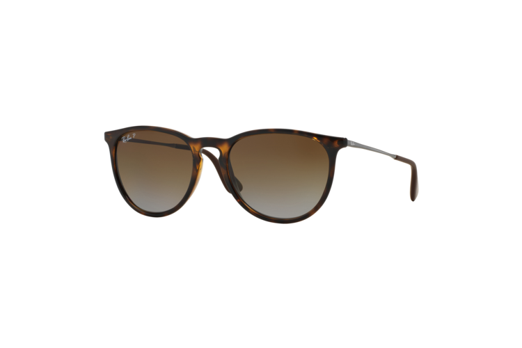 Ray-Ban Women's Polarized Erika Sunglasses 2