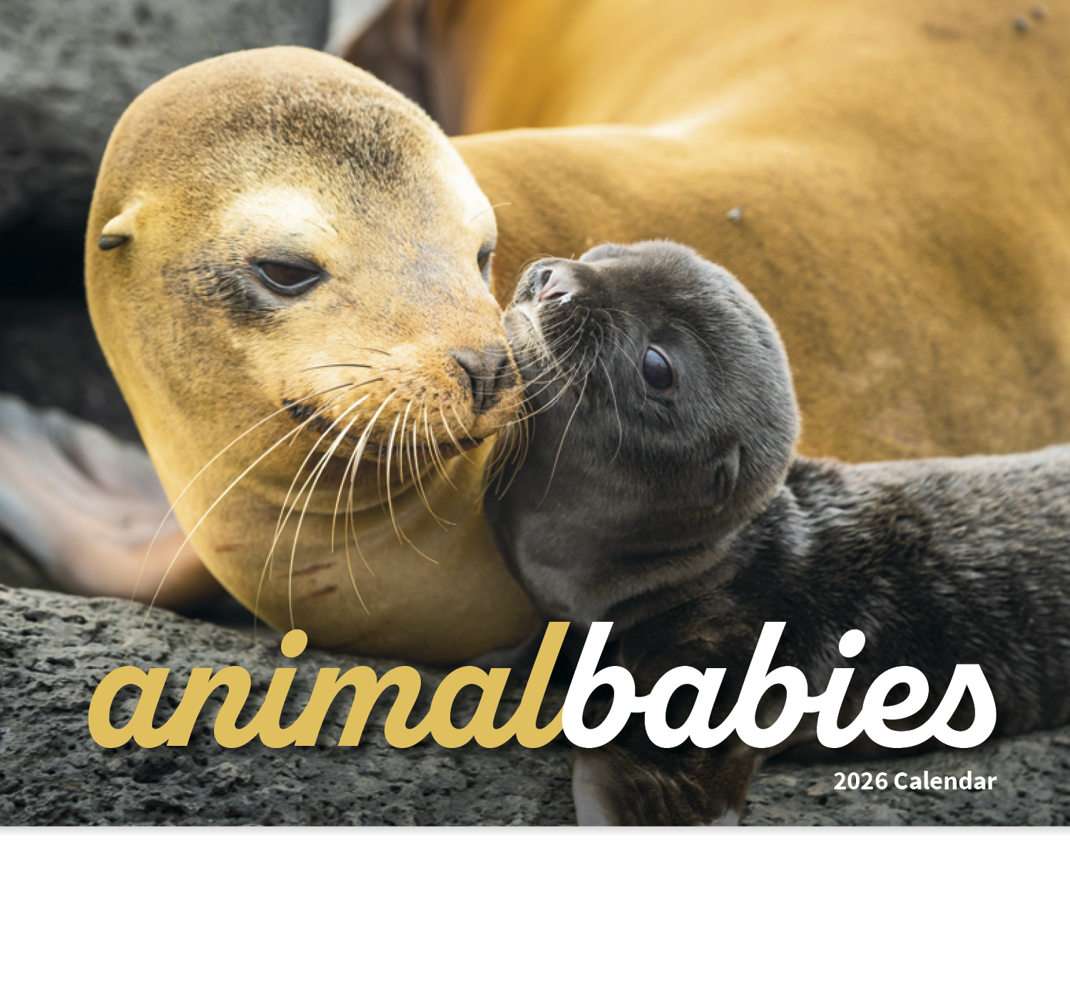 HotLine® Products Animal Babies Appointment Calendar - Stapled 10