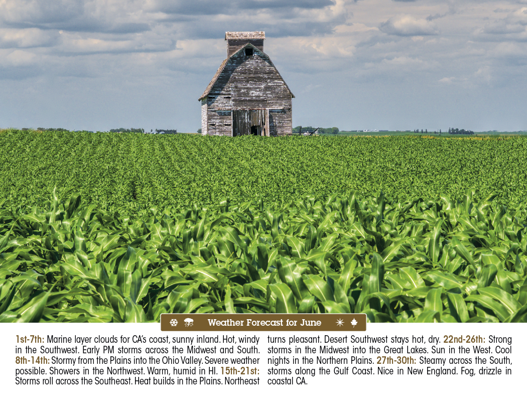 Triumph® Calendars Scenic Almanac 21
