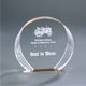 6.5" x 6" Gold Round Acrylic Trophy 2