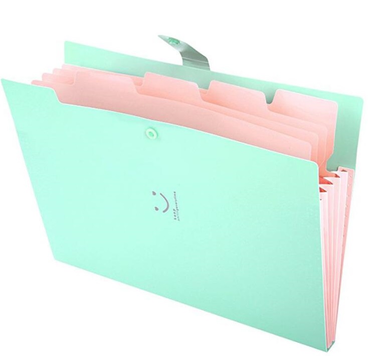 5 Pockets A4 Letter Size Expanding File Folder 3