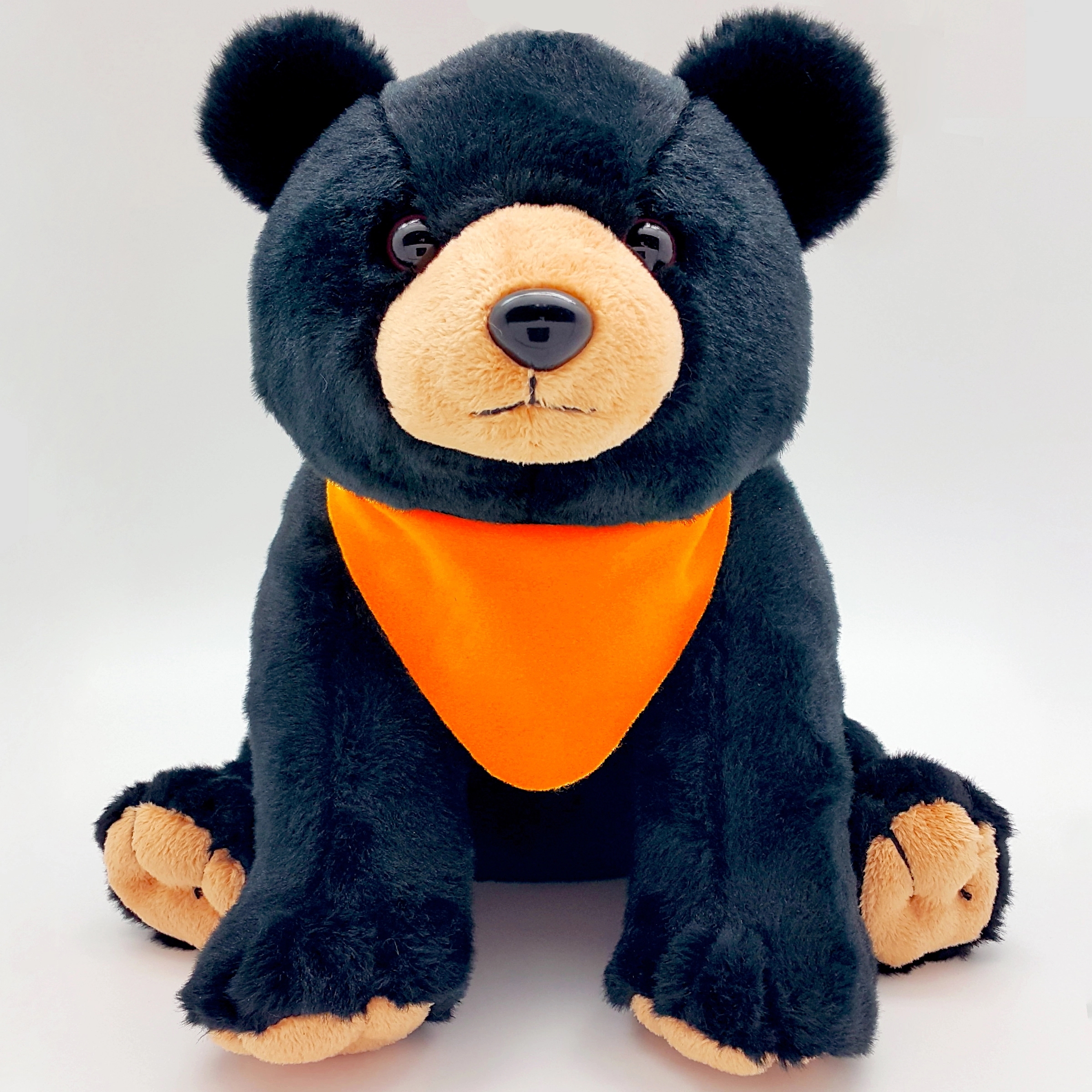 10" Black Bear 9