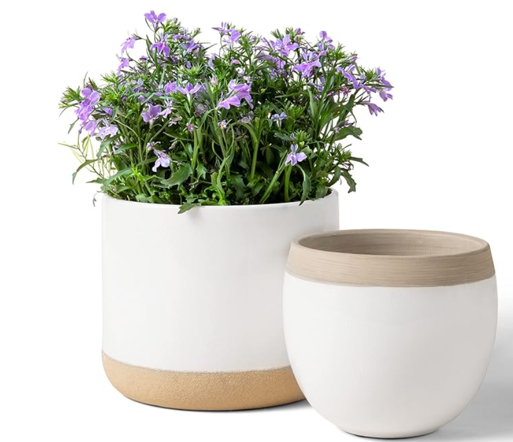 Cylindrical White Planter Pots 2