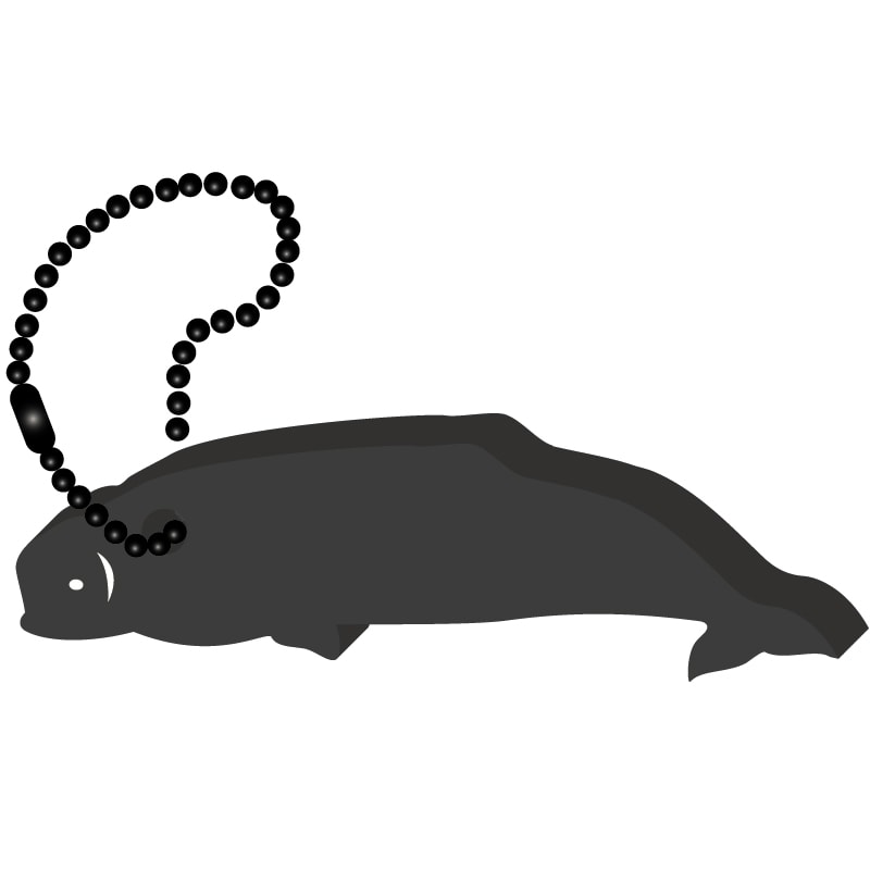 Beluga Whale Key Tag 15