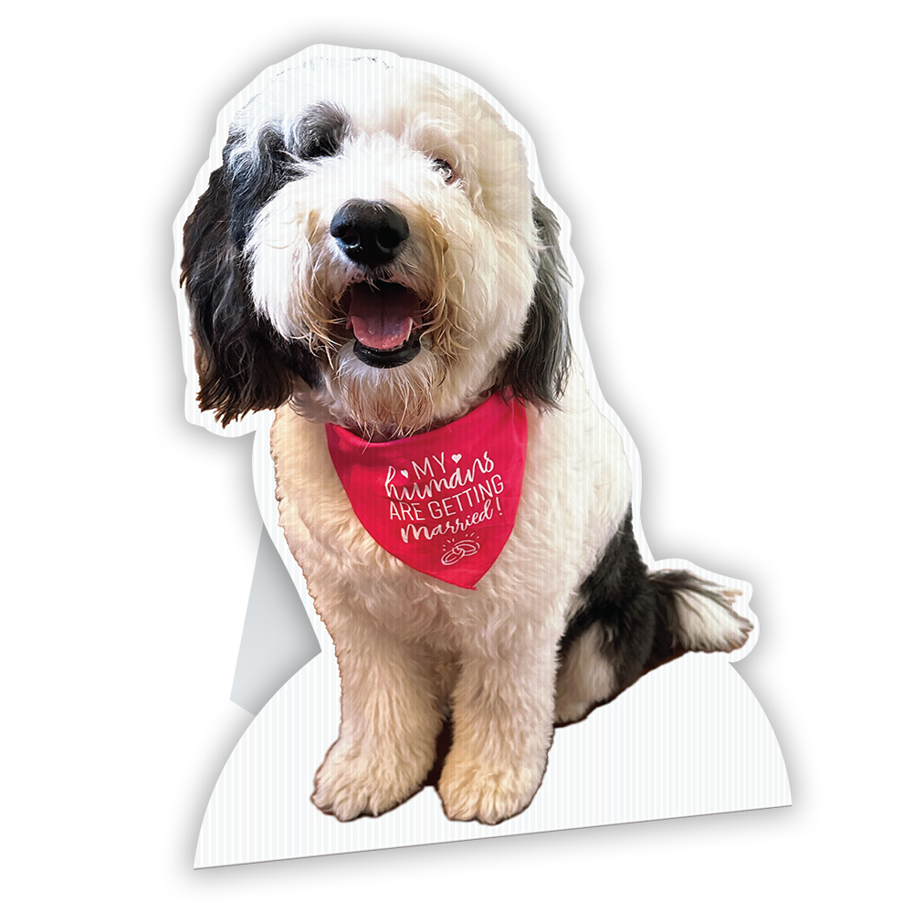 Corrugated Plastic Standee - 32" x 72" 4