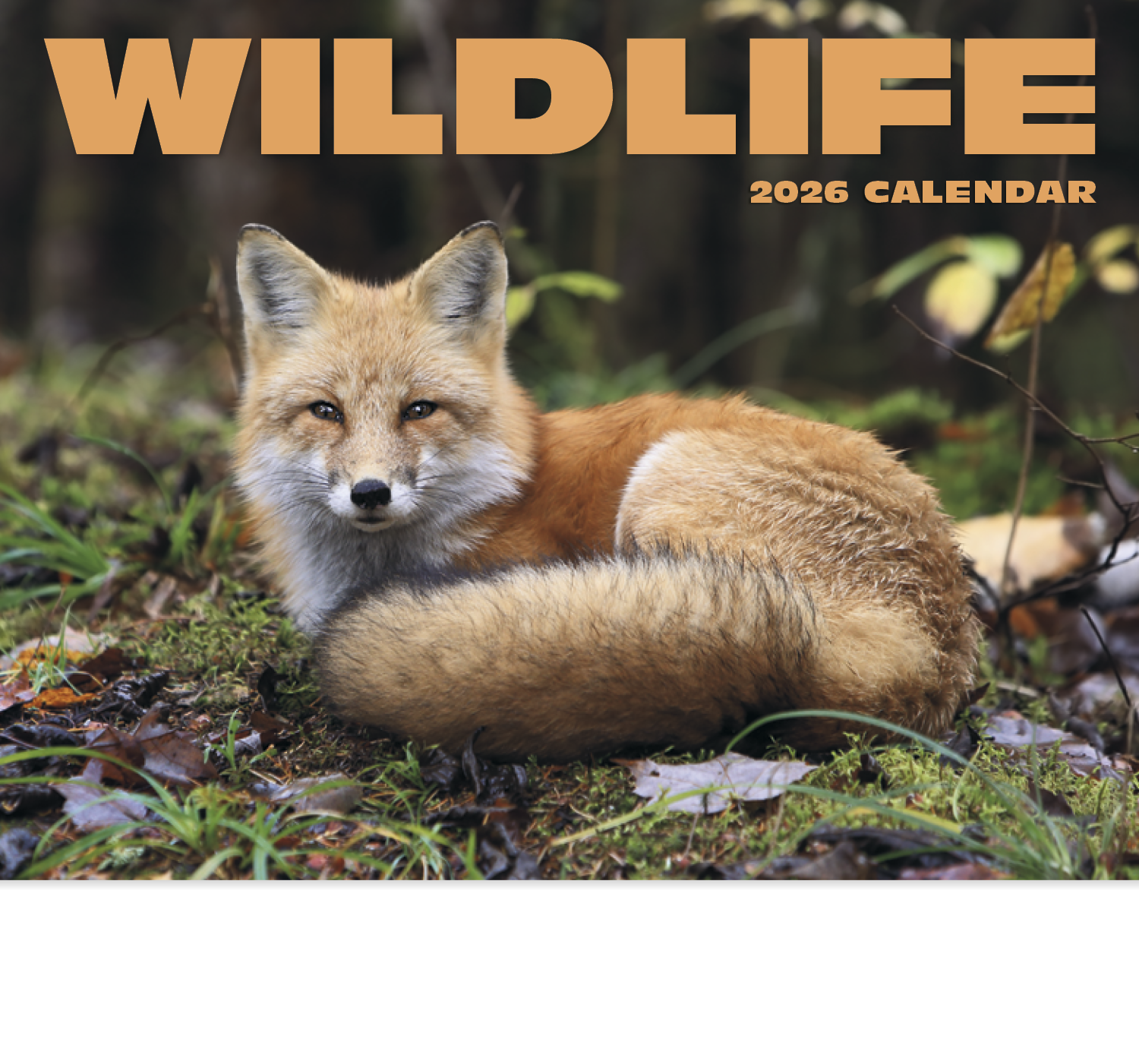 HotLine® Products Wildlife Appointment Calendar - Stapled 3