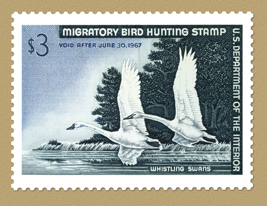 Triumph® Calendars Duck Stamps Calendar 34