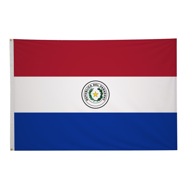 4' x 6' International Flags 111