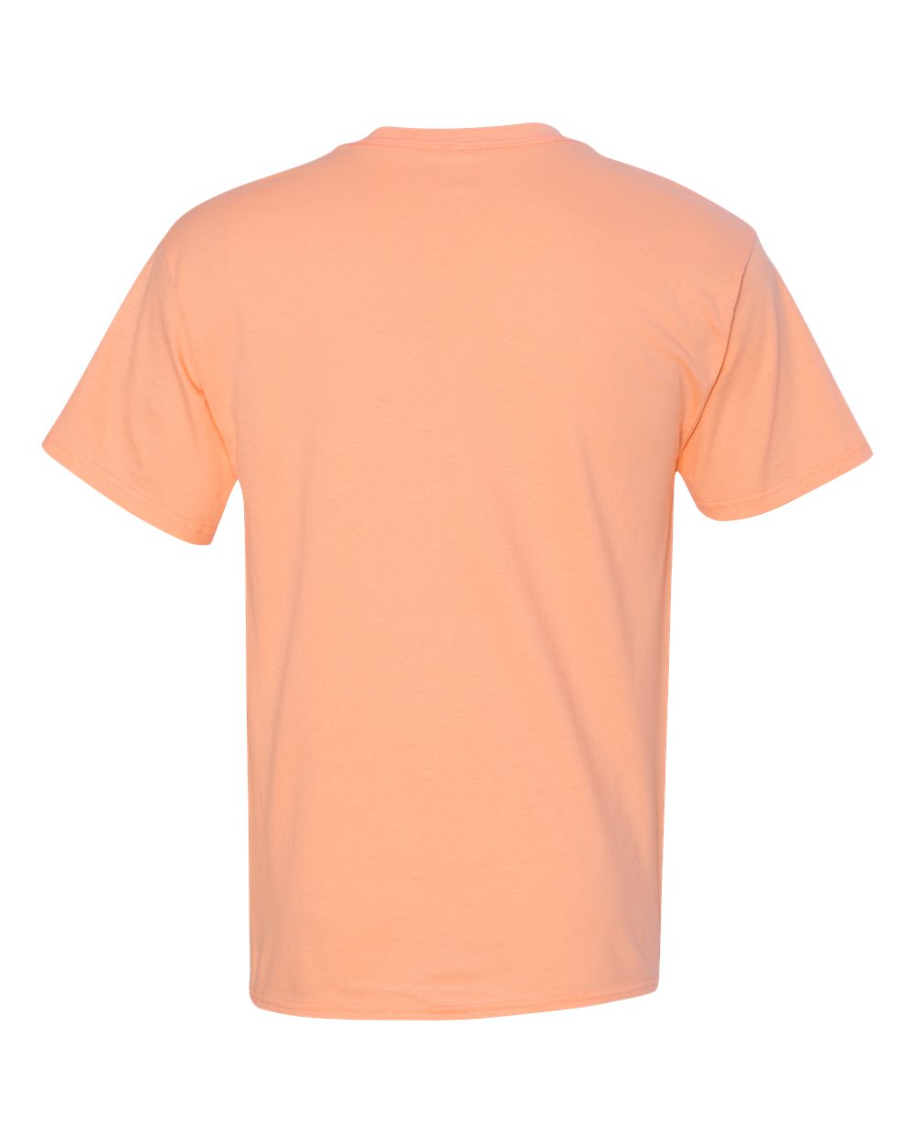 Unisex Authentic T-Shirt - 5250 196