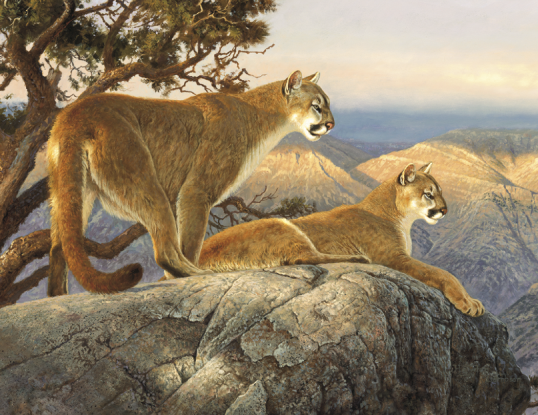 Good Value™ Wildlife Canvas - Stapled Calendar 13