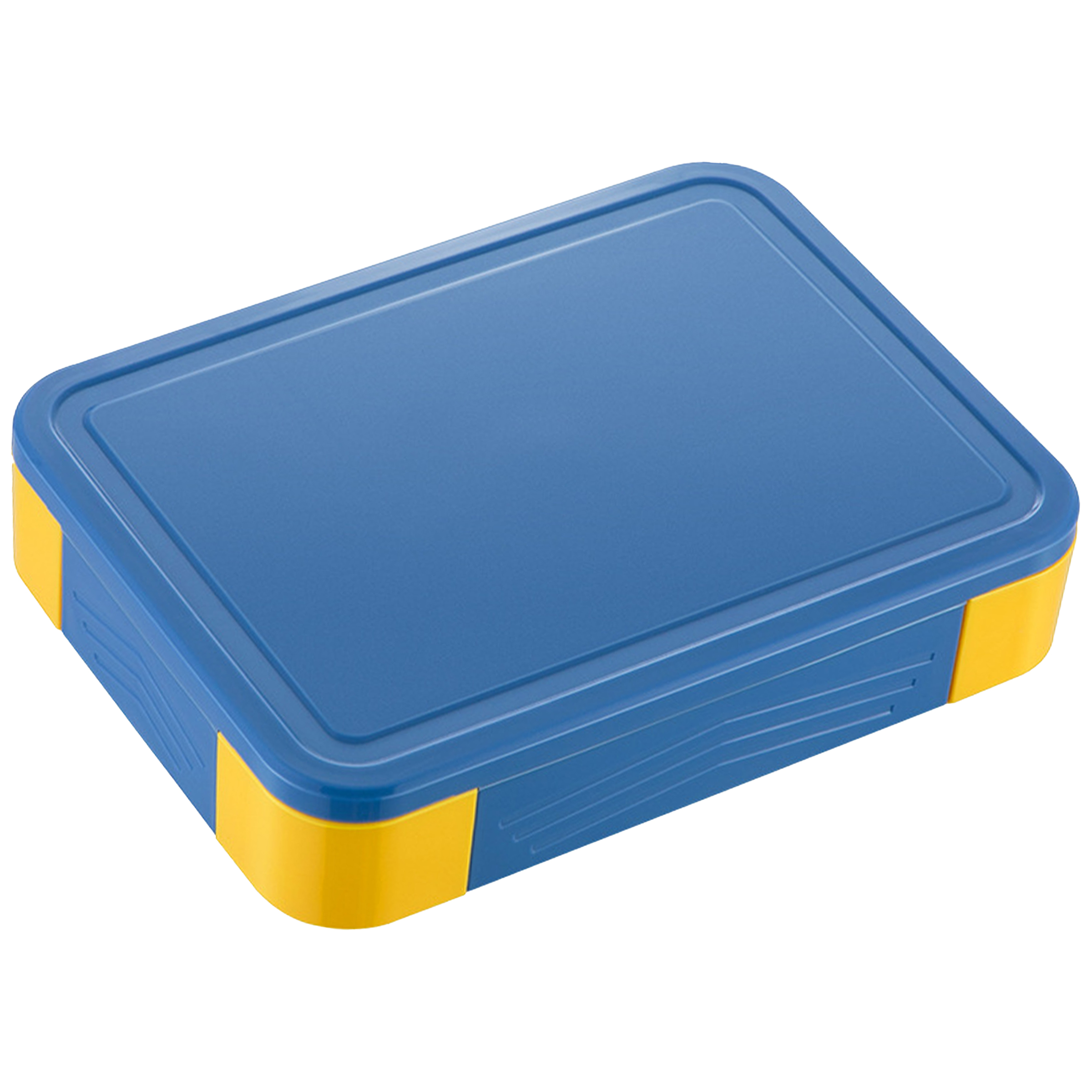 Polypropylene Student Divided Sealed Fruit Box 7