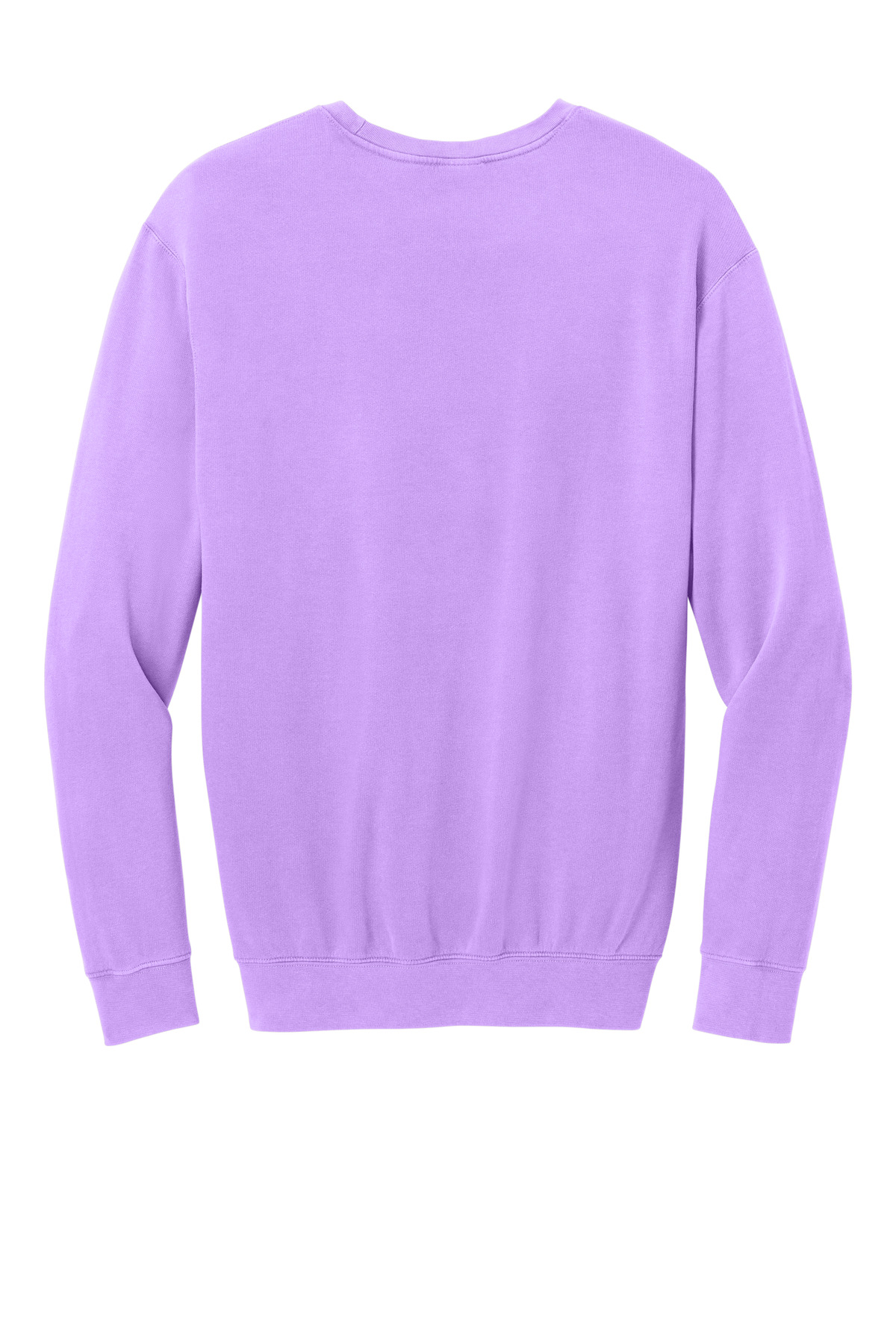 Comfort Colors Lightweight Crewneck Sweatshirt 1466 31