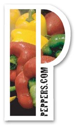 Re-Stick-It Decal (2"x3.5") P Shape