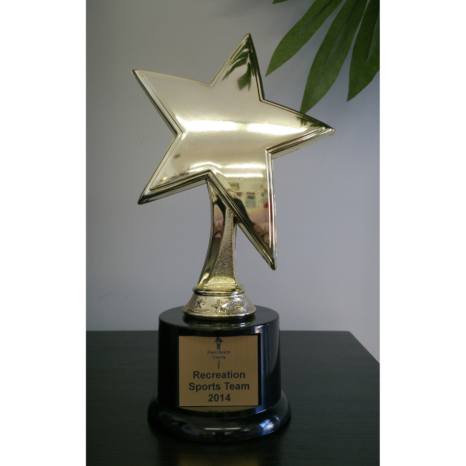 Star Award Trophy 2