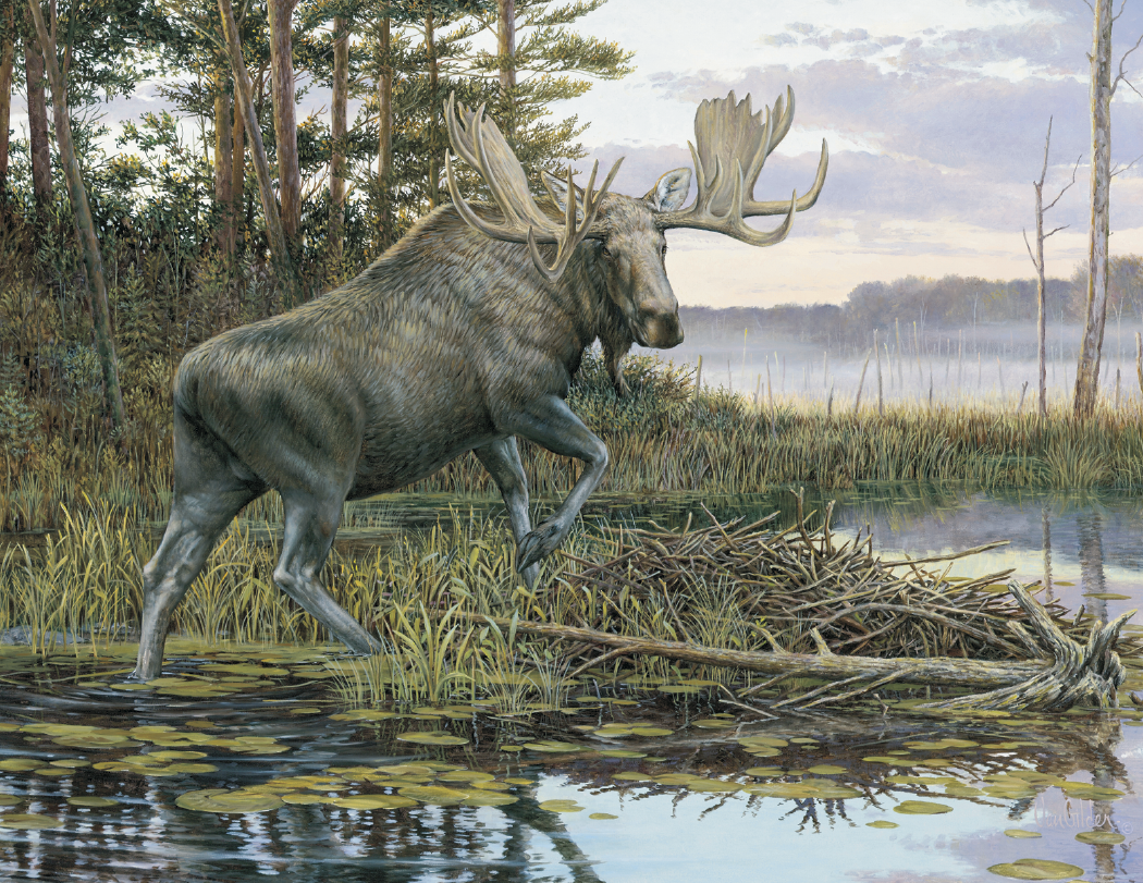 HotLine® Products Wildlife Collection Appointment Calendar - Stapled 38