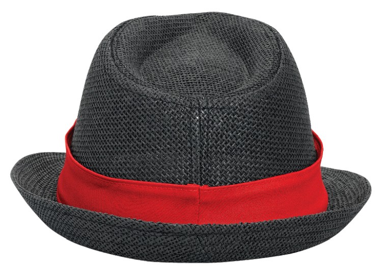 OTTO CAP Fedora 41