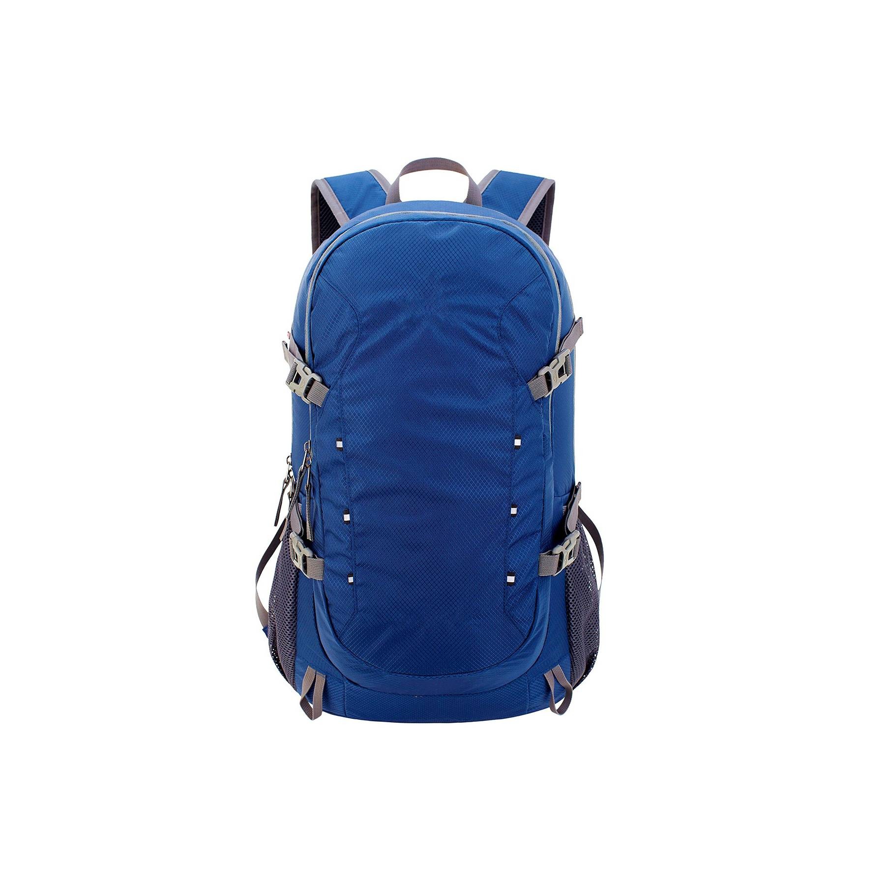 Folding Backpack 2