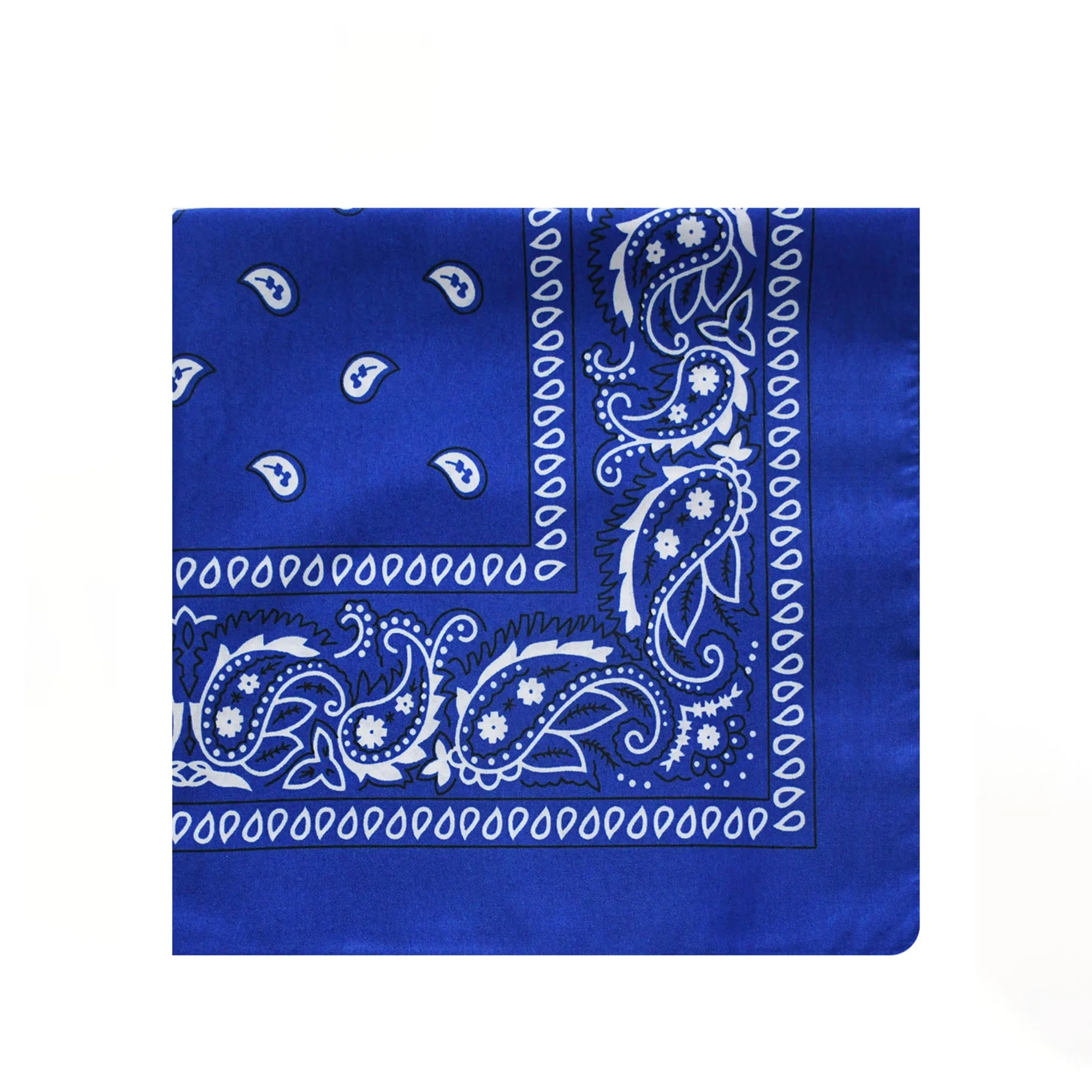 Multi Purpose Paisley Bandana 5