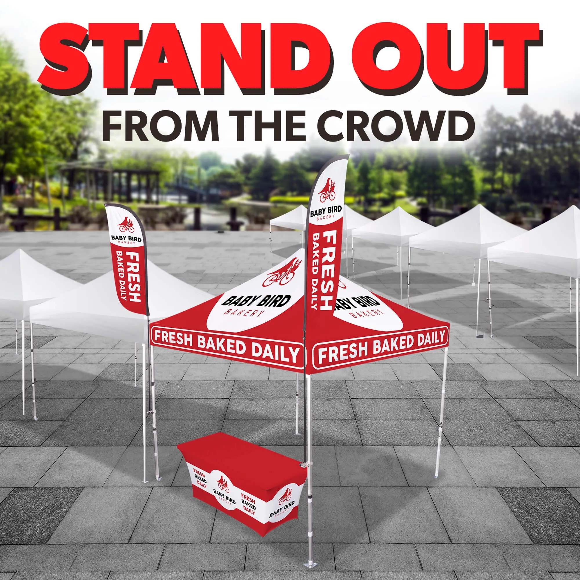 10ft x 10ft Custom Canopy Tent - Experience Basic Package 5