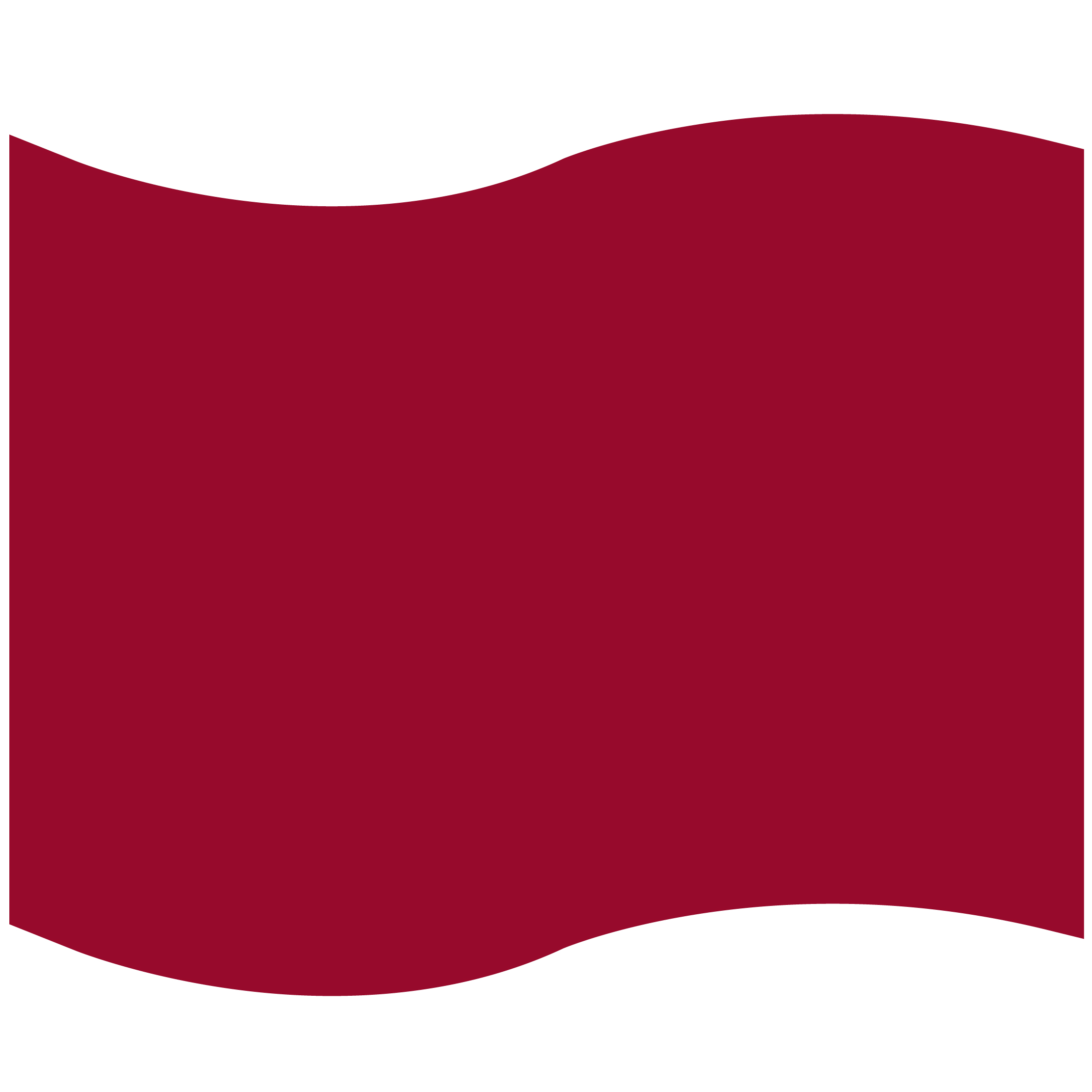 Foam Flag Mitt 21