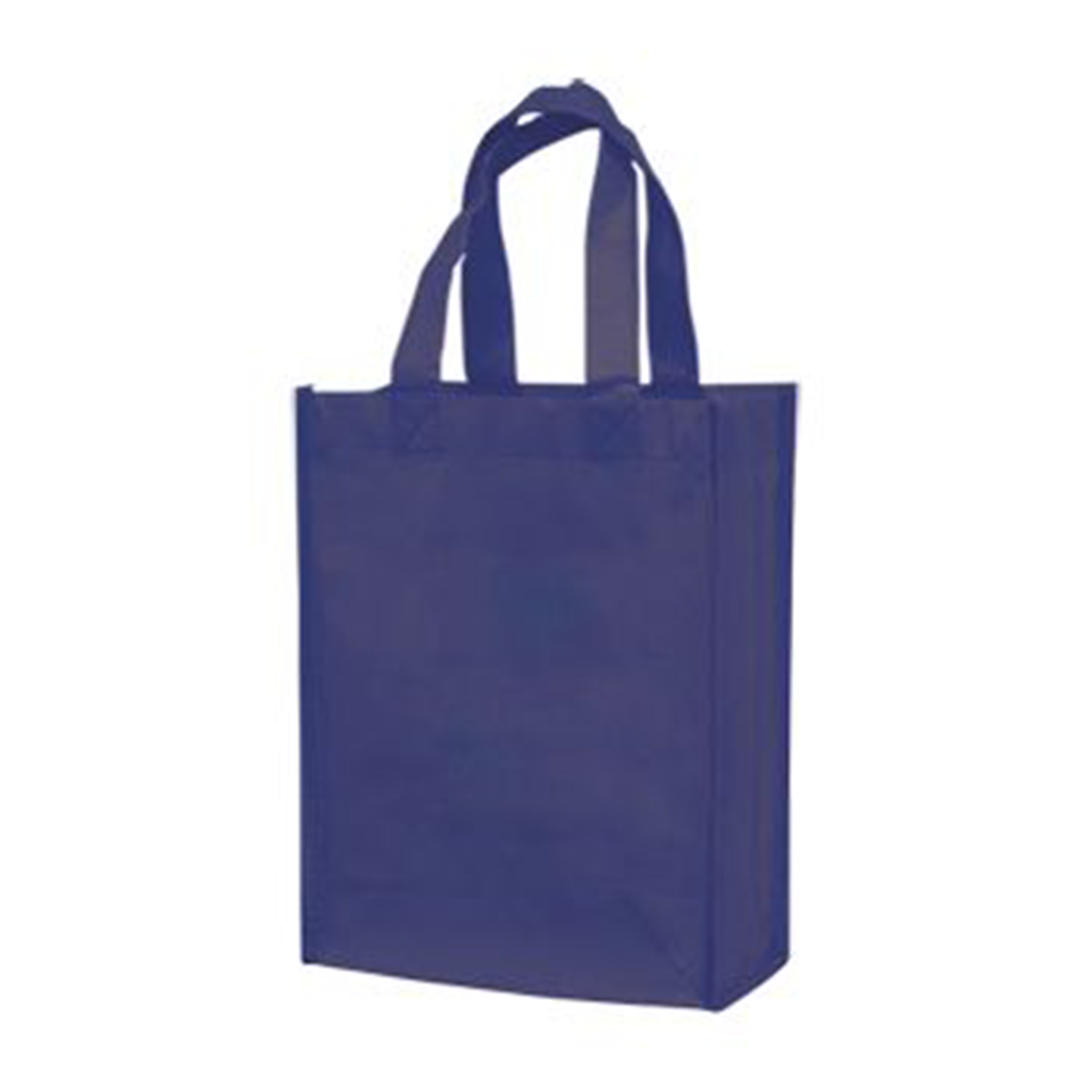 Small Laminated Tote Bag 5