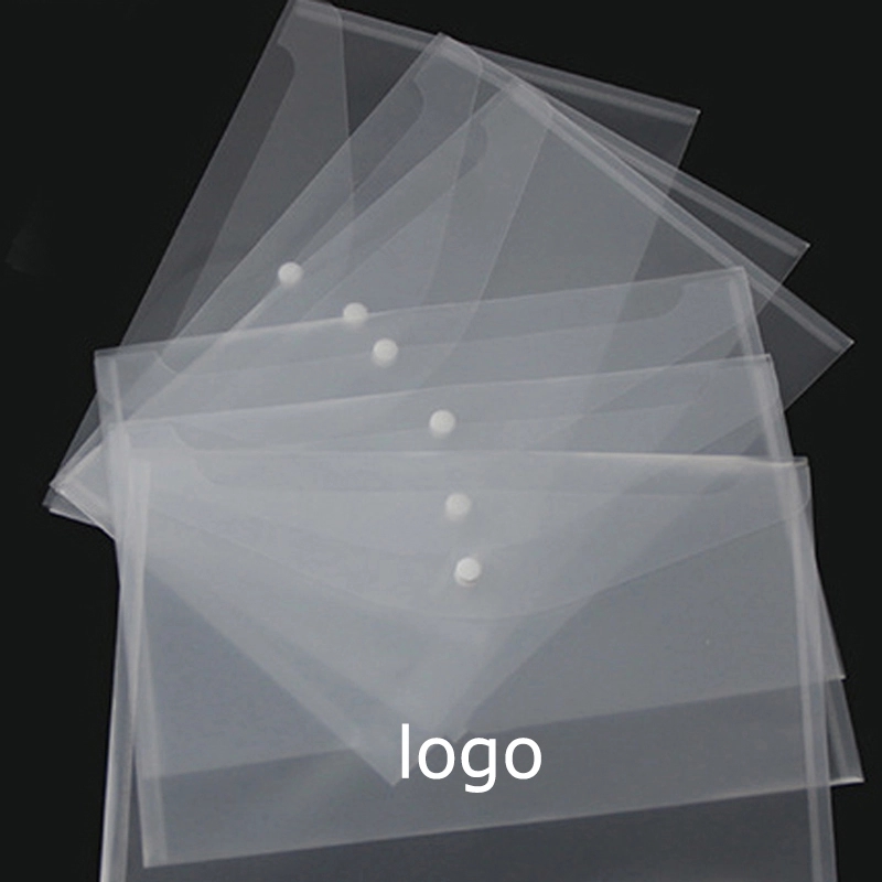 Clear Document Case 2