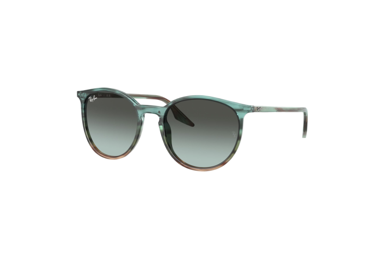 Ray-Ban RB2204 Sunglasses 1