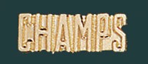 Champs Metal Chenille Letter Insignia Pin 2